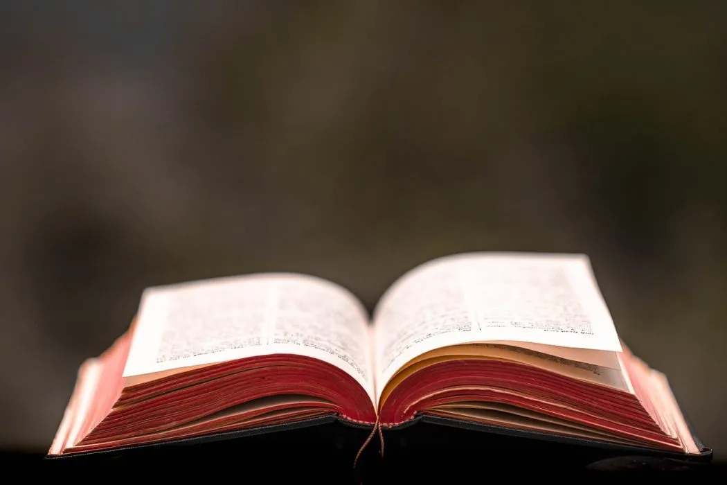 Tout savoir sur la succession et les testaments