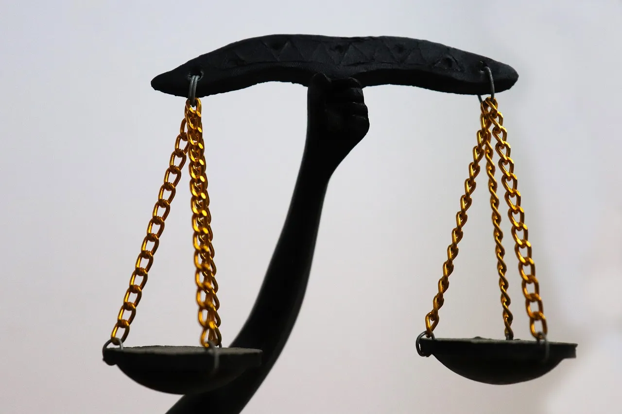 Les différentes missions et compétences d’un avocat fiscaliste