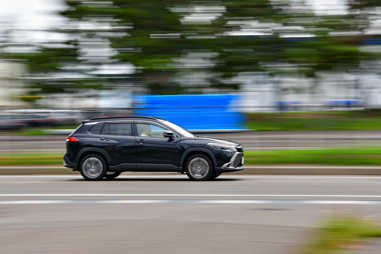 Se frotter au cerfa du permis de conduire : directives et implications juridiques